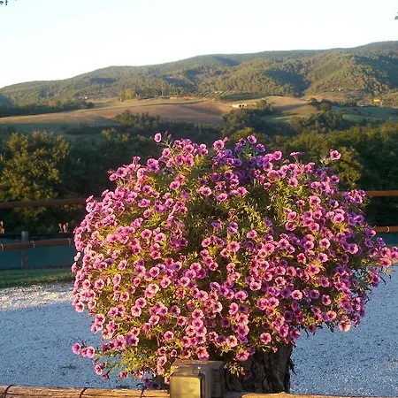Casale Il Colle Deruta Villa Exterior photo