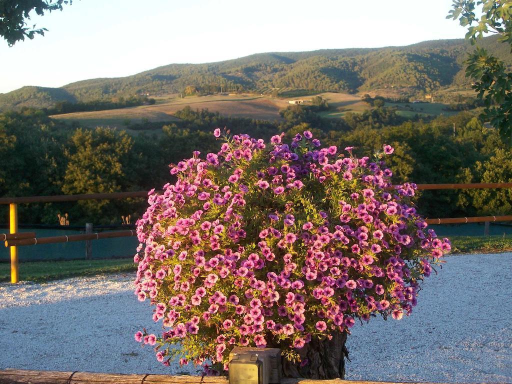 Casale Il Colle Holiday home