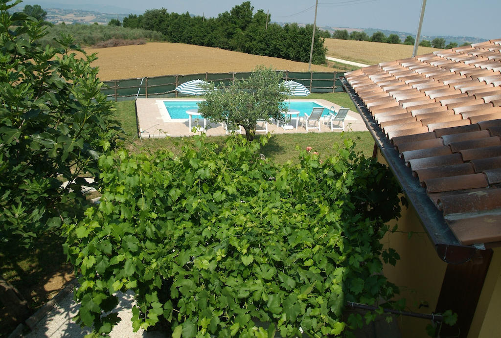 Casale Il Colle