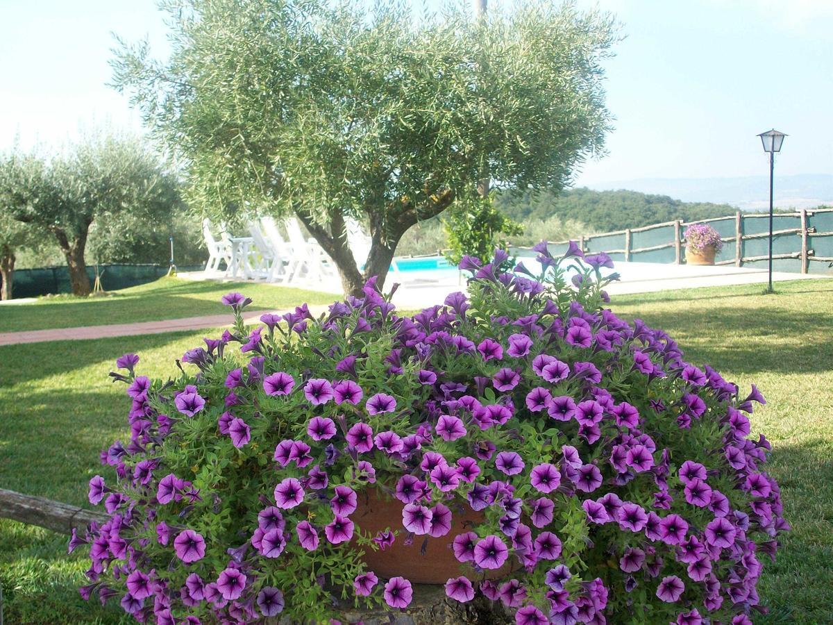 Holiday home Casale Il Colle *