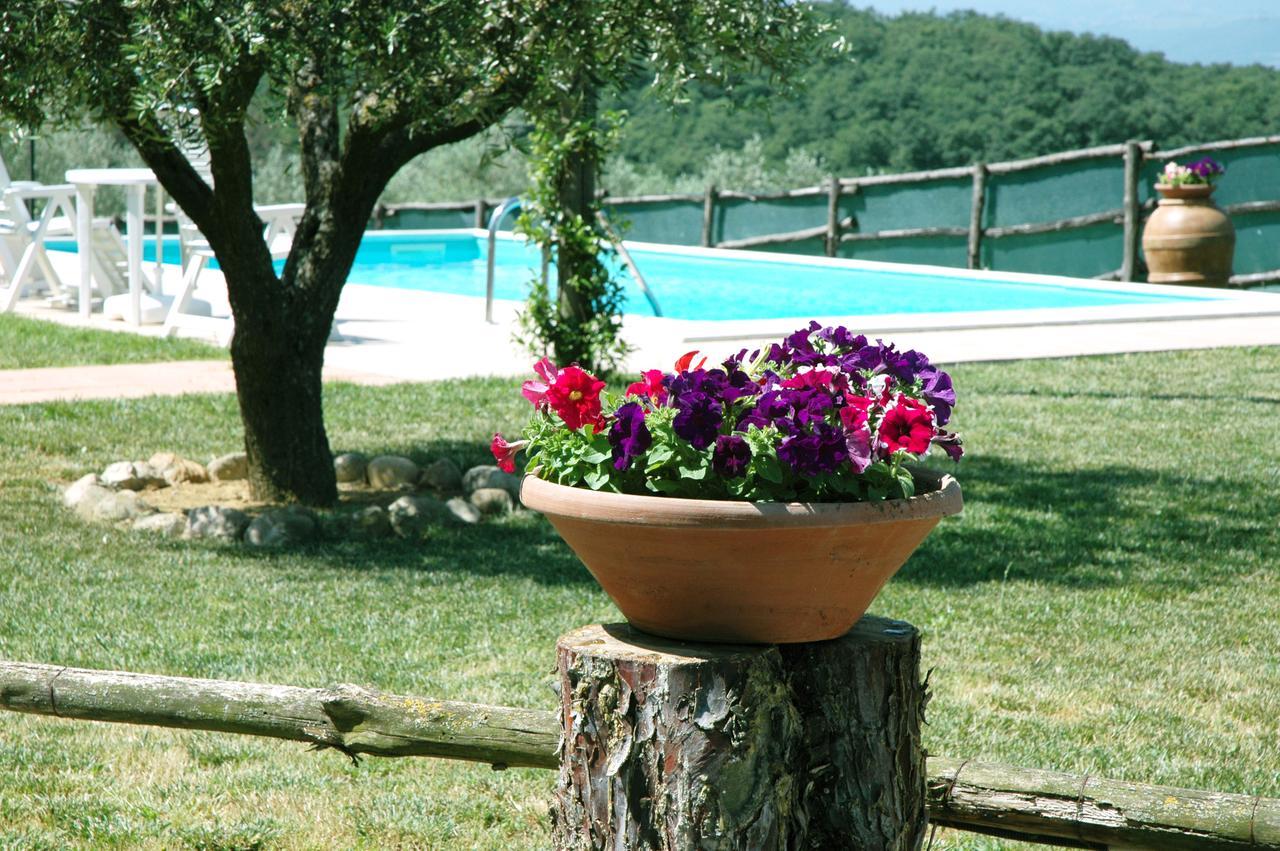 Casale Il Colle Holiday home *